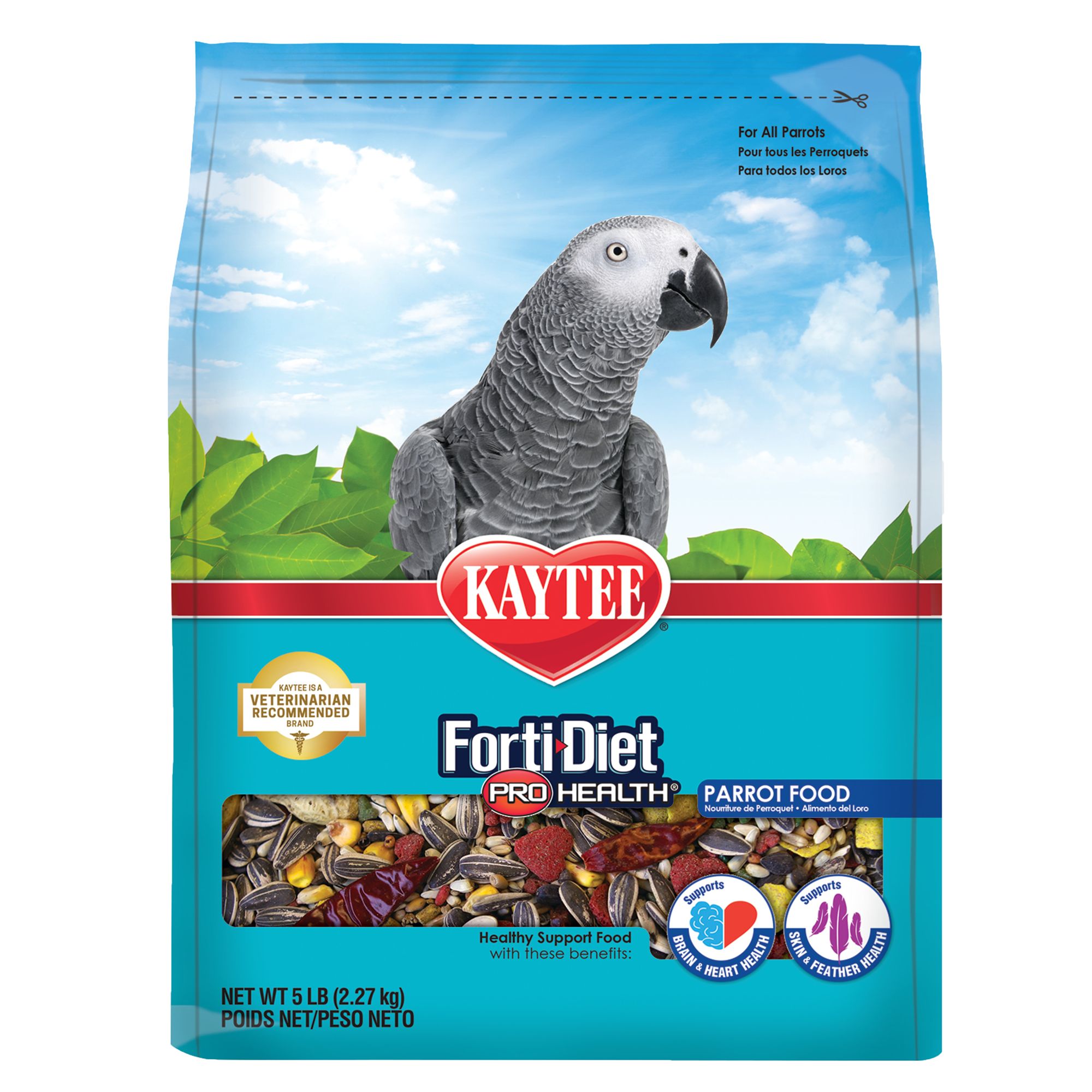 african grey parrot food