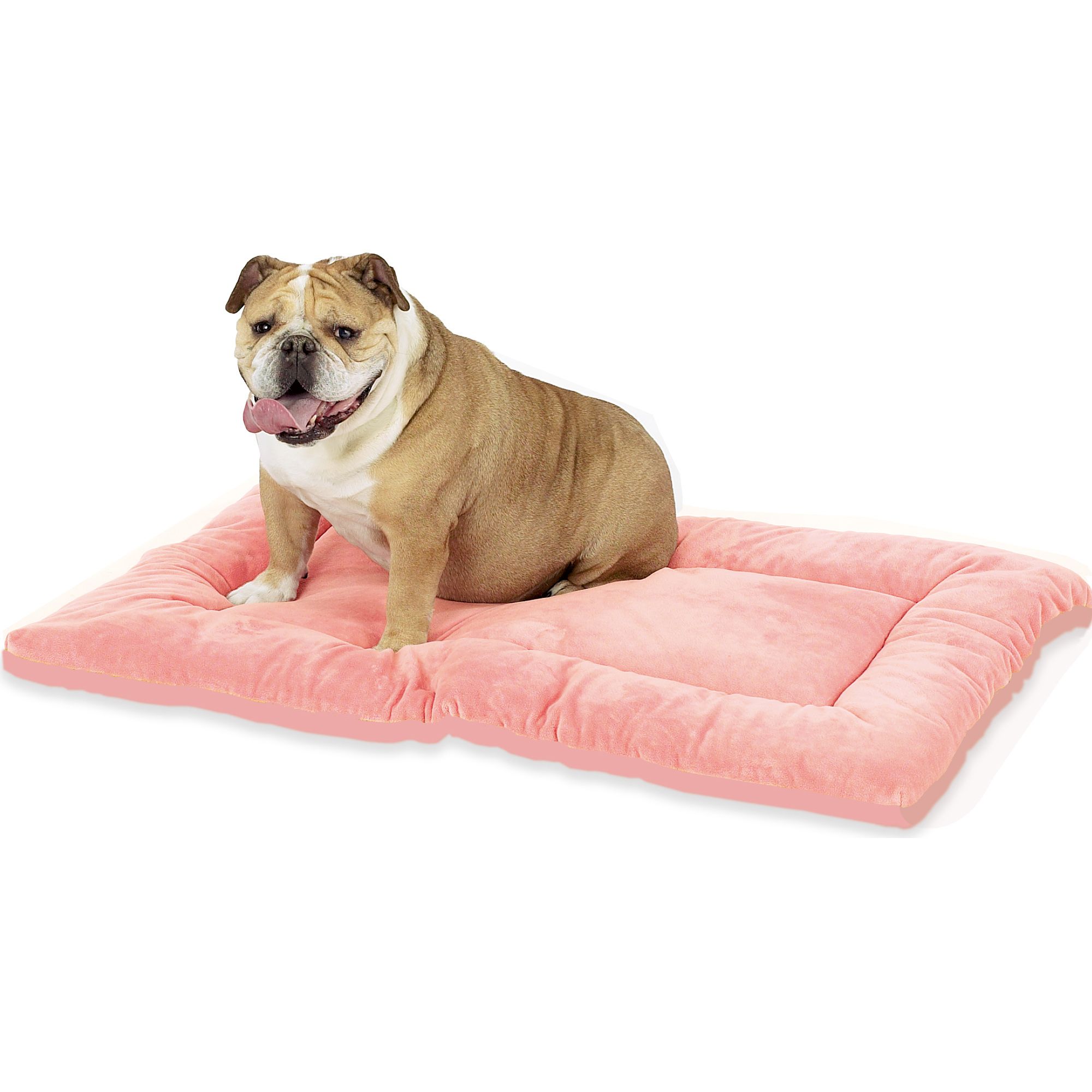 chew proof dog bed petsmart