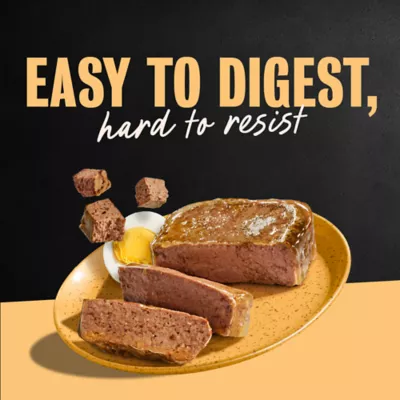 Cesar® Classics Adult Wet Dog Food - Loaf, 3.5 Oz. - Image 9