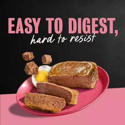 Cesar® Classics Adult Wet Dog Food - Loaf, 3.5 Oz. - Image 9