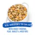 Beneful Prepared Meals Wet Dog Food, 283 g image thumbnail 7