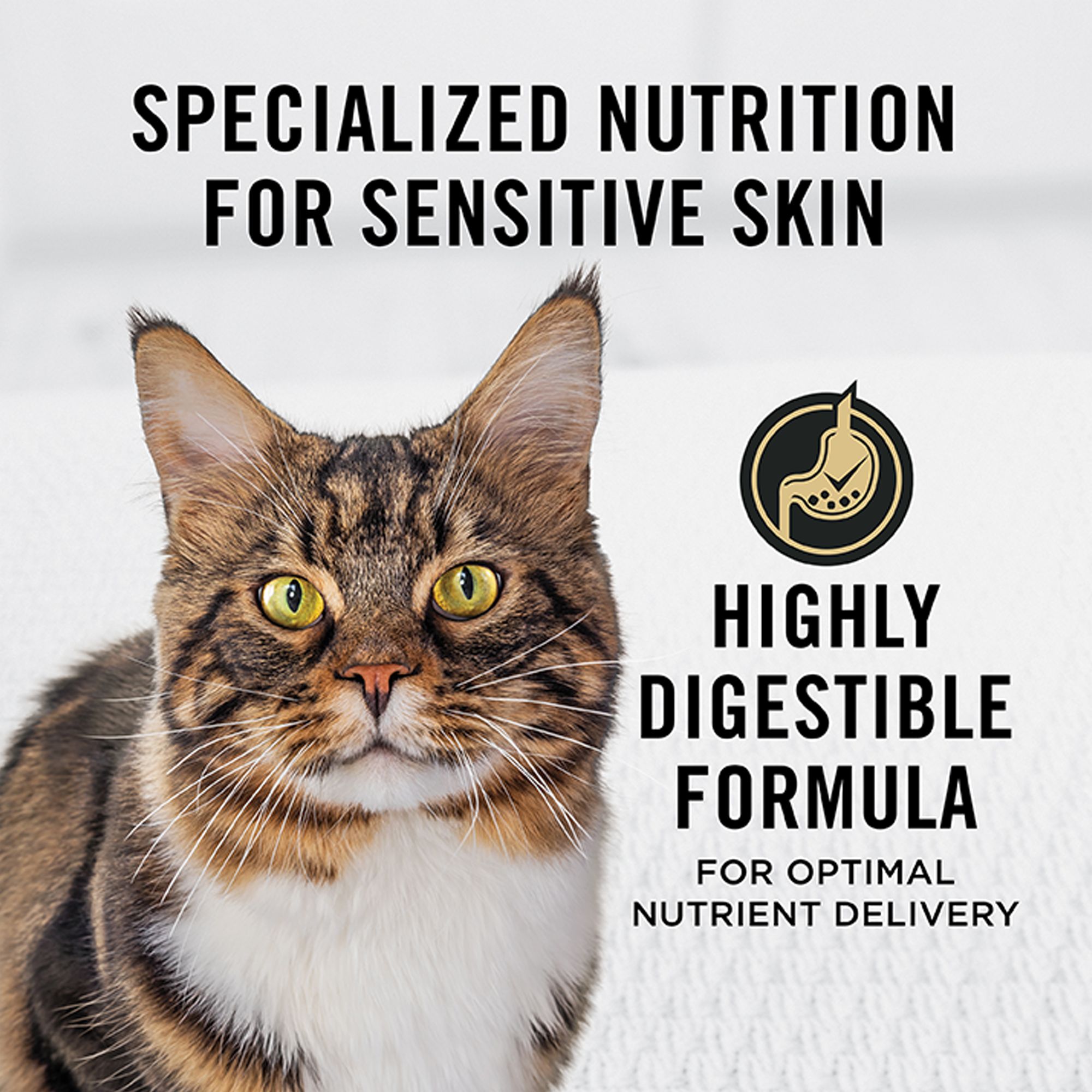 purina pro plan focus sensitive skin and stomach cat