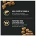Purina Pro Plan Focus Indoor Adult Dry Cat Food - With Vitamins, High Fiber, Salmon & Rice image thumbnail 4