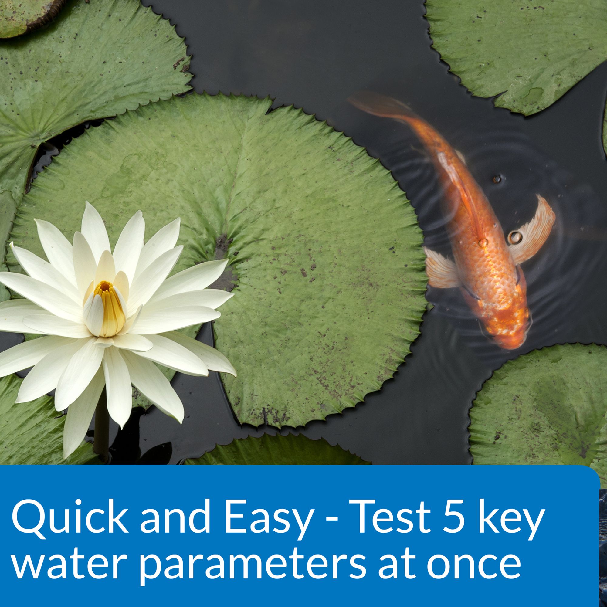 API® POND 5 IN 1 Pond Water Test Strips for Pond Water Testing - thumbnail 5