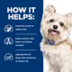 Product Hill's® Prescription Diet® g/d Aging Care Adult Dog Food - Turkey