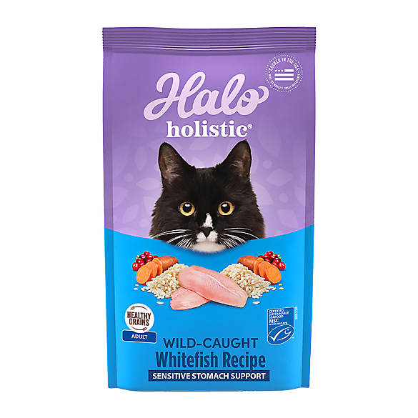 HALO® DreamCoat Sensitive Stomach Cat Food Natural, Holistic Seafood