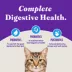 Halo Holistic Healthy Grains, Adult Dry Cat Food, Sensitive Stomach Support - Whitefish Recipe image thumbnail 6