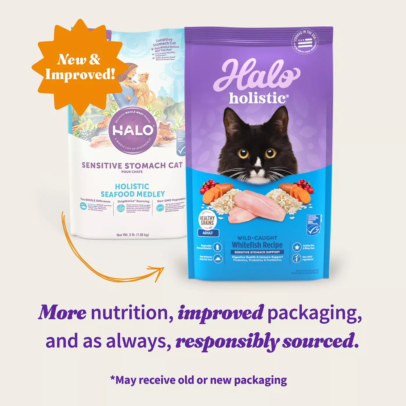 Holistic natural cat food best sale