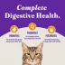 Halo Holistic Healthy Grains, Adult Dry Cat Food - Chicken Recipe, 6 lb image thumbnail 6