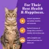 Halo Holistic Healthy Grains, Adult Dry Cat Food - Chicken Recipe, 6 lb image thumbnail 7