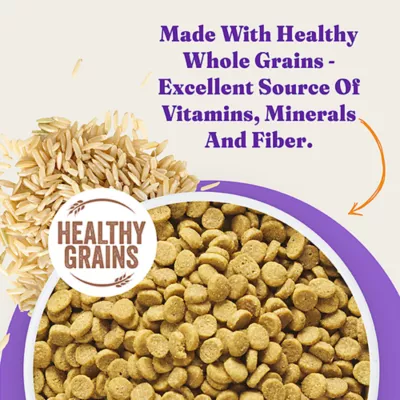 Halo Holistic Healthy Grains, Adult Dry Cat Food - Chicken Recipe, 6 lb - Image 8