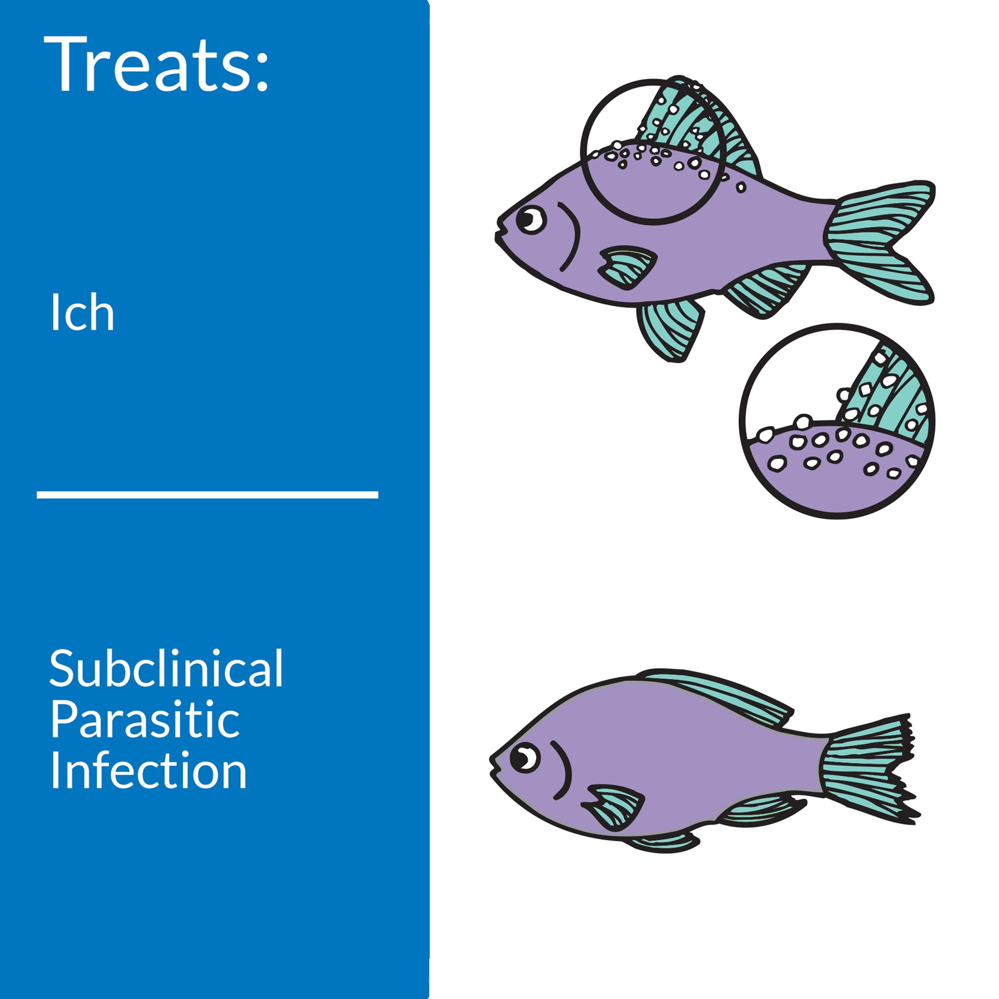 API® Liquid Super Ick Cure Ick Treatment for Aquarium Fish - thumbnail 3