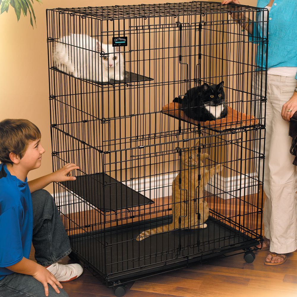 MidWest Cat Playpen Cat Pens PetSmart   5141274