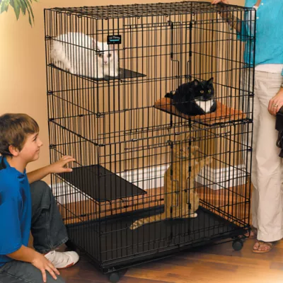 MidWest Cat Playpen