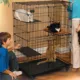 Product MidWest Cat Playpen