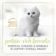 Product Fancy Feast® Kitten Kitten Cat Wet Food - 3.33 oz., With Vitamins, High-Protein