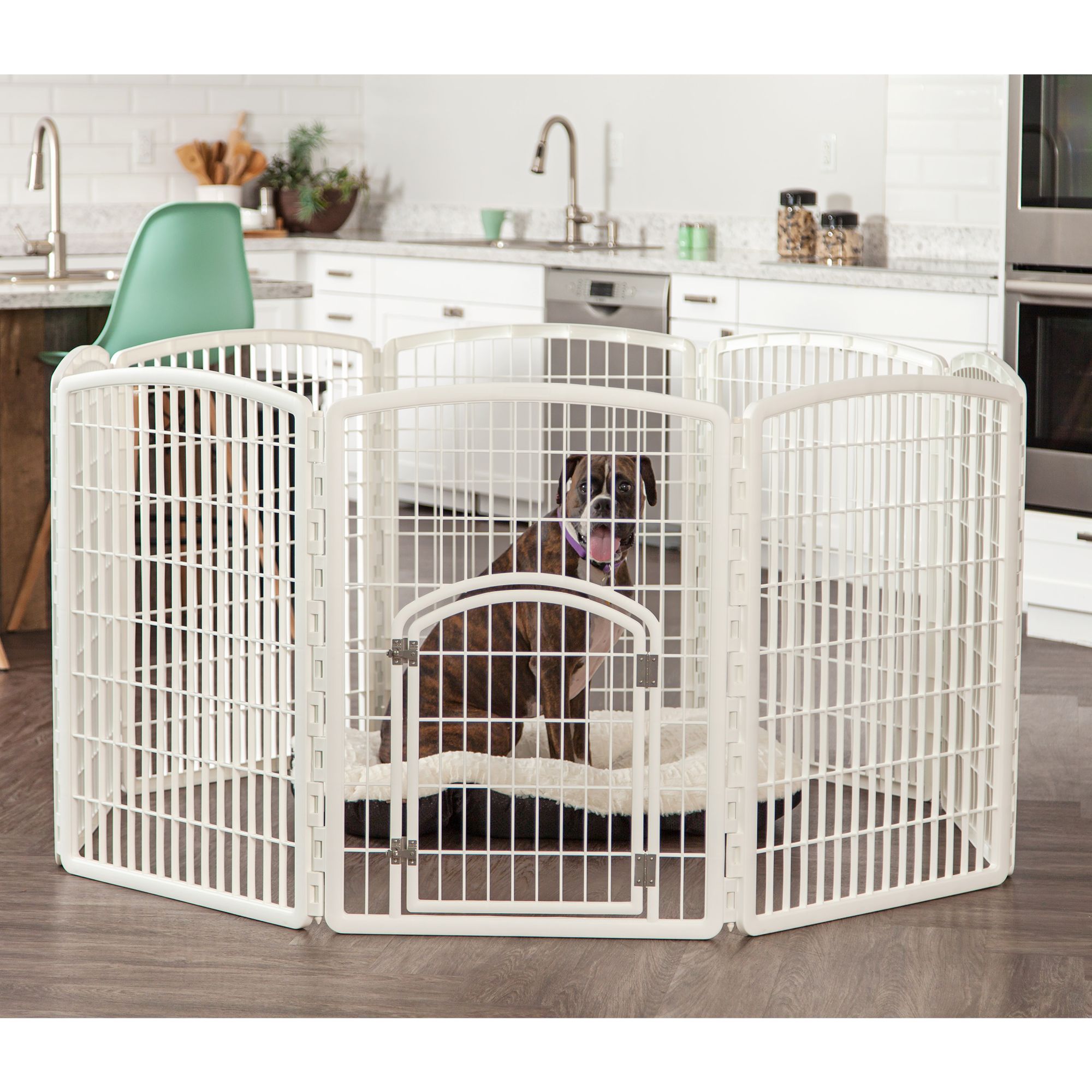 white puppy pen