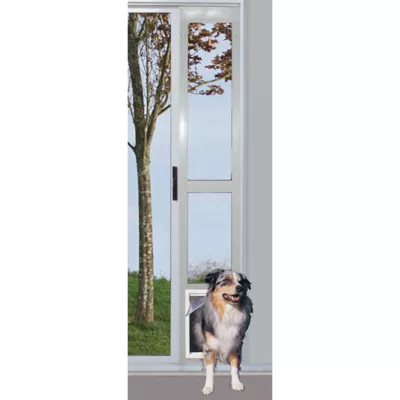 Perfect pet dog door best sale