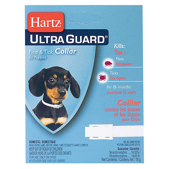 Hartz® UltraGuard® Flea & Tick Collar for Puppies dog Flea & Tick