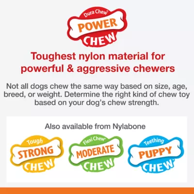 Product Nylabone® DuraChew® Chew Dog Toy