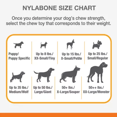 Product Nylabone® DuraChew® Chew Dog Toy