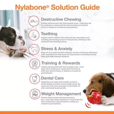 Product Nylabone® DuraChew® Chew Dog Toy