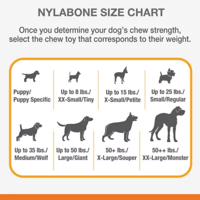 Product Nylabone® Dura Chew Chicken Flavored Dog Toy