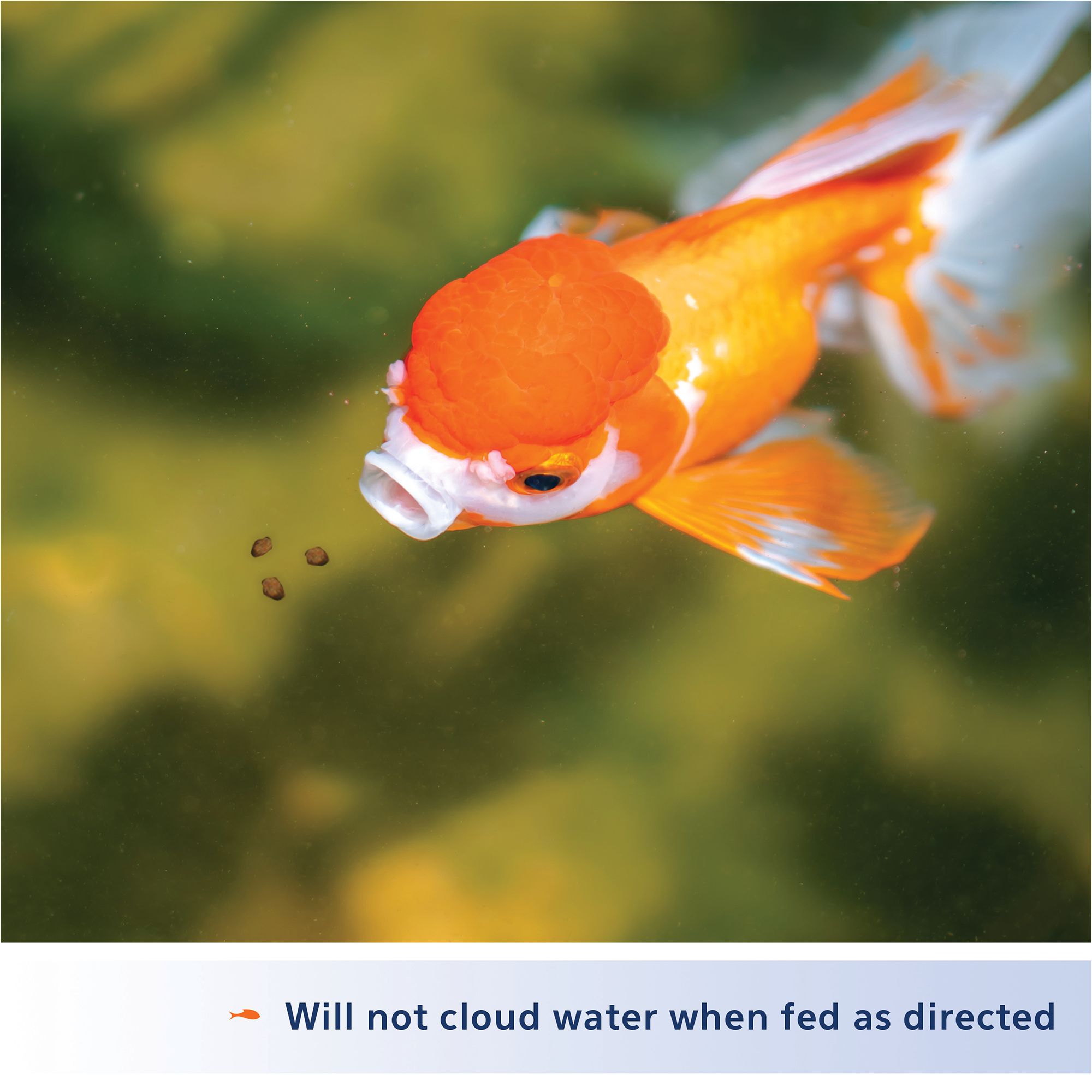 Aqueon® Goldfish Granules Fish Food Complete Diet - thumbnail 4