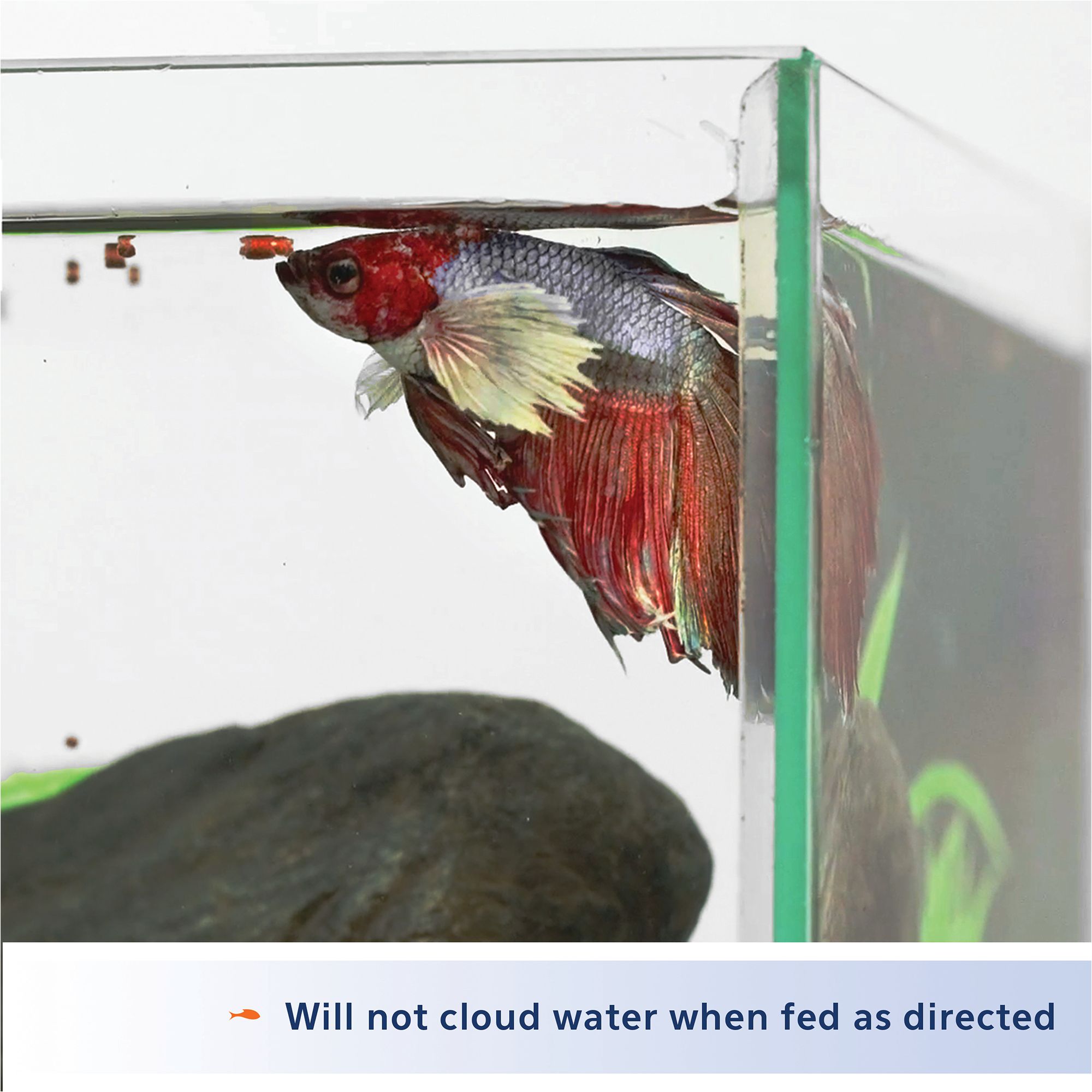 Aqueon® Betta Pellets Fish Food Complete Diet - thumbnail 6