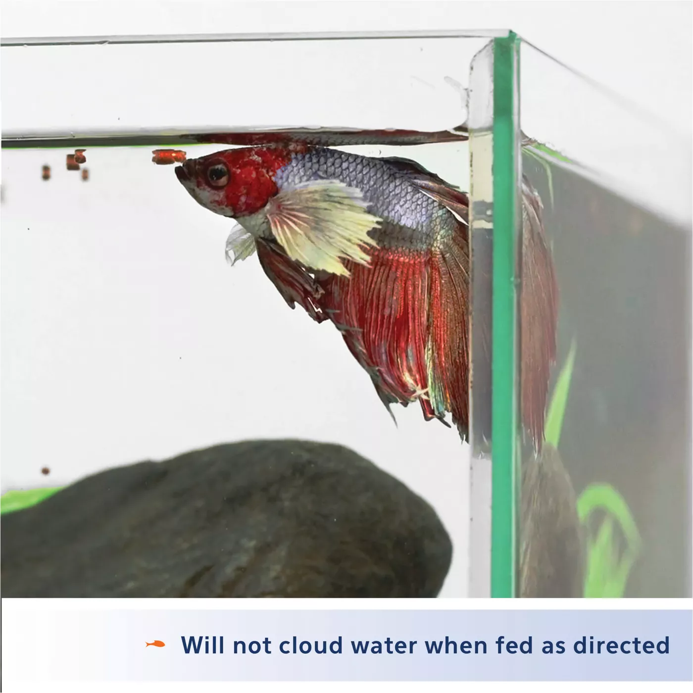 Aqueon Betta Pellets Fish Food