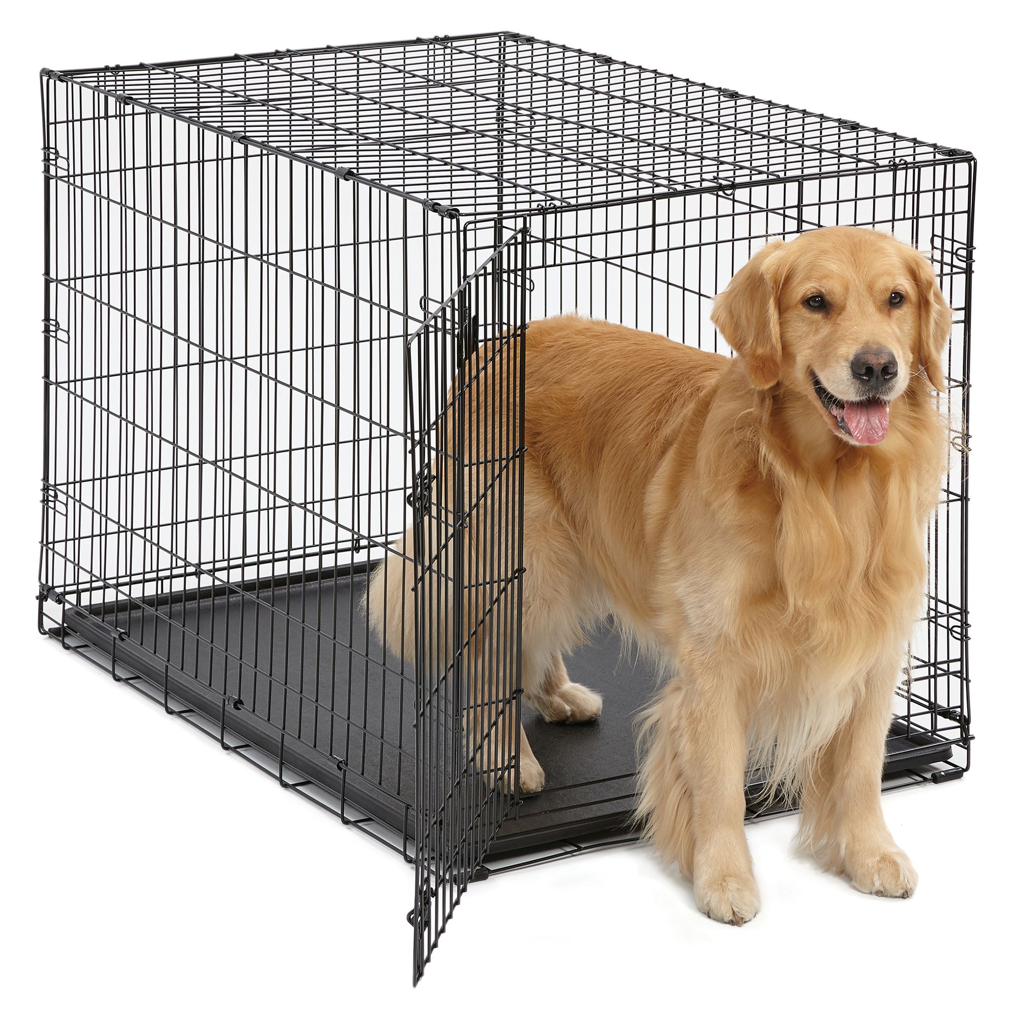 petsmart dog crates