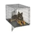 MidWest iCrate Single Door Folding Dog Crate with Divider Panel image thumbnail 1
