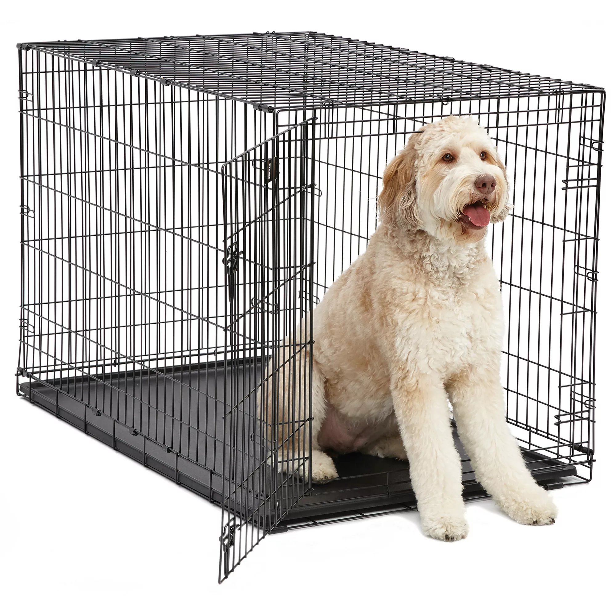 MidWest iCrate Dog Crate