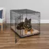 MidWest iCrate Single Door Folding Dog Crate with Divider Panel image thumbnail 2