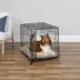 MidWest iCrate Single Door Folding Dog Crate with Divider Panel image thumbnail 2