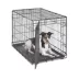 MidWest iCrate Dog Crate image thumbnail 1