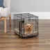MidWest iCrate Single Door Folding Dog Crate with Divider Panel image thumbnail 3