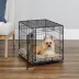 MidWest iCrate Single Door Folding Dog Crate with Divider Panel image thumbnail 2
