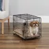 MidWest iCrate Single Door Folding Dog Crate with Divider Panel image thumbnail 2