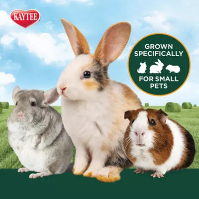 Product KAYTEE® All Natural Timothy Hay Plus Carrot