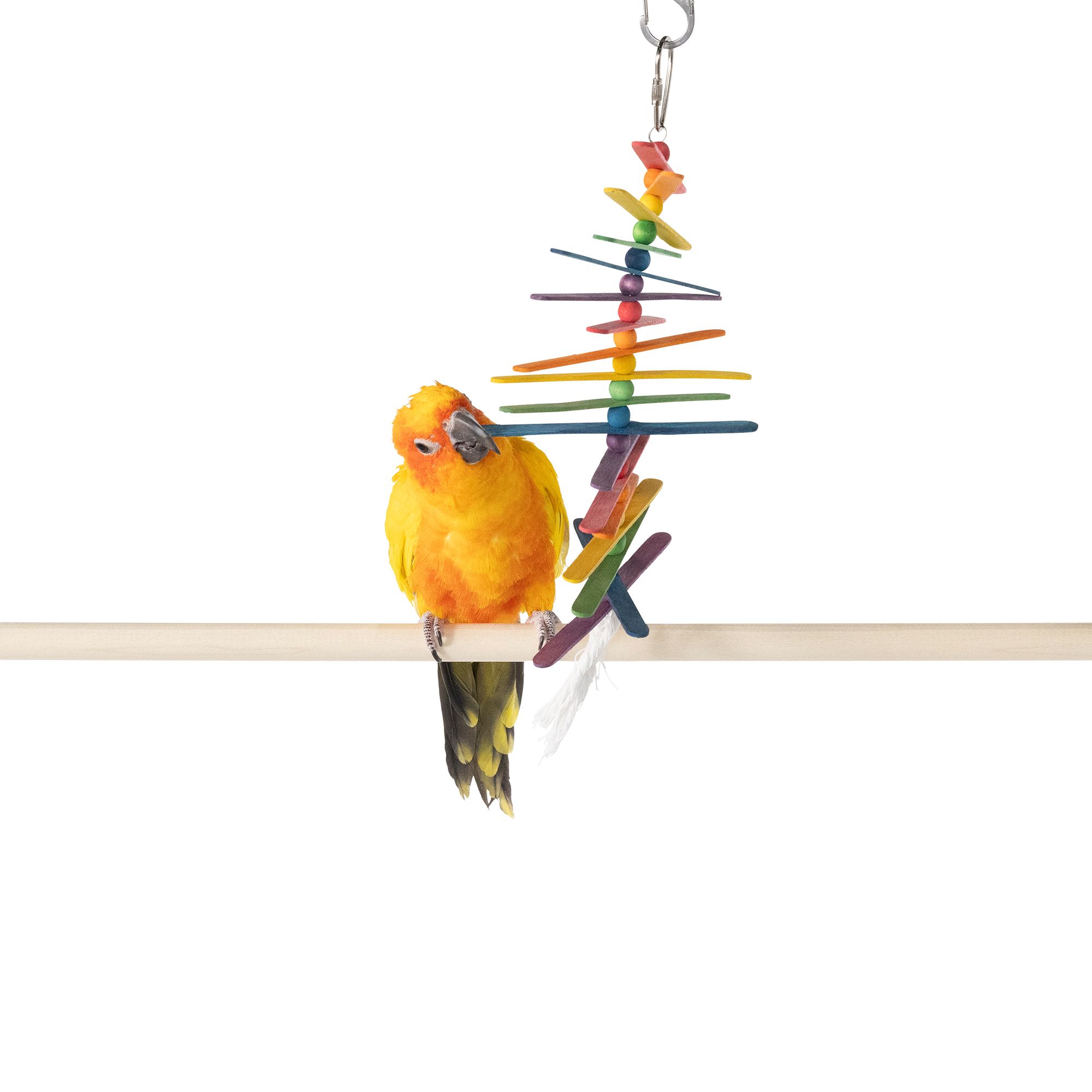 Popsicle Stick Bird Toy