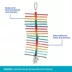 All Living Things® Popsicle Stick Bird Toy image thumbnail 3