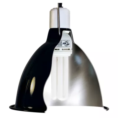 Product Zoo Med ReptiSun 5.0 UVB Compact Tropical Reptile Lamp