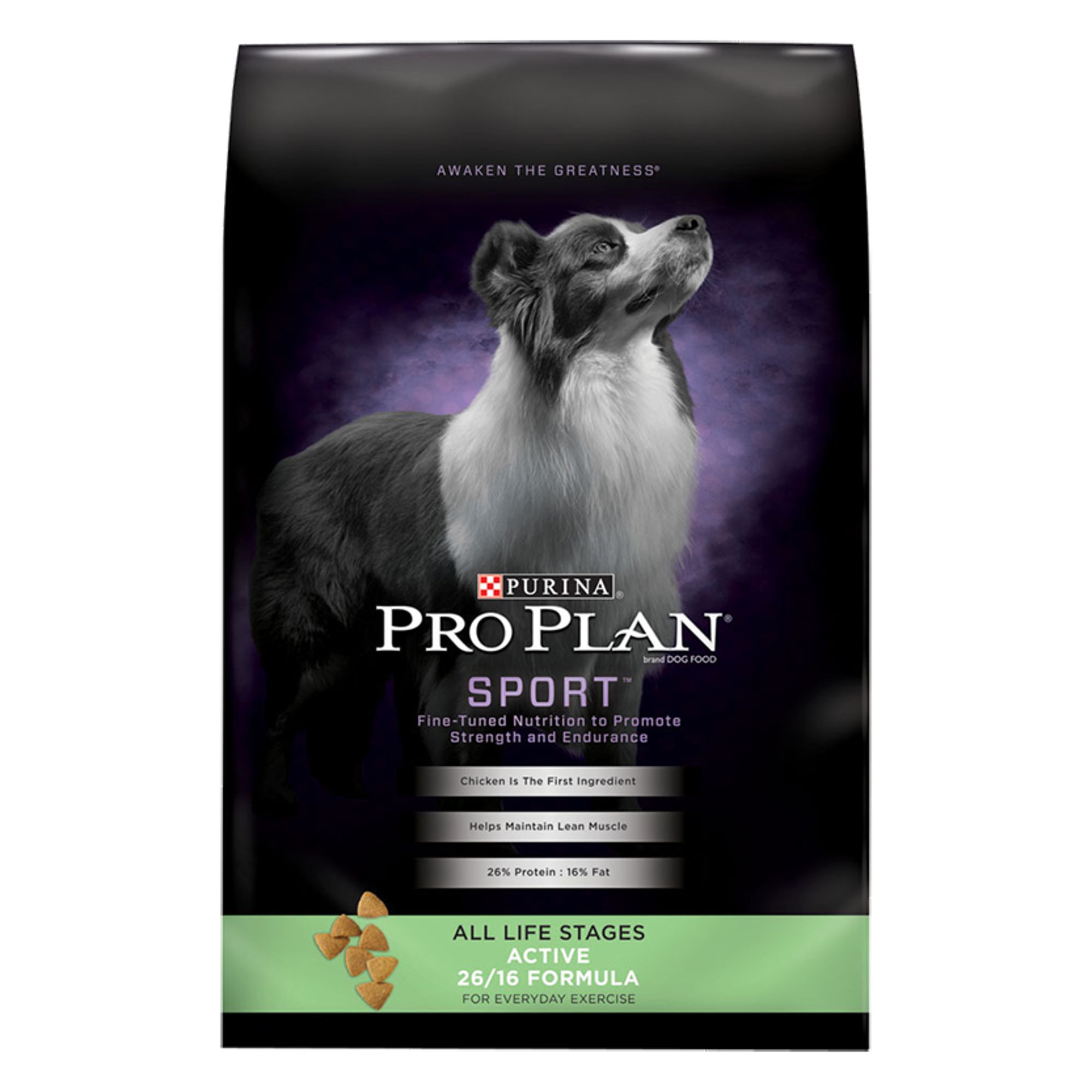 Purina Pro Plan Sport Dog Food | dog 
