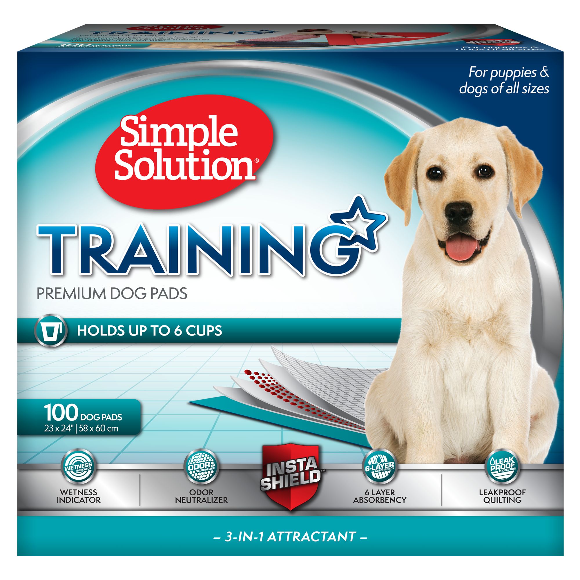 How to train using puppy pads best sale