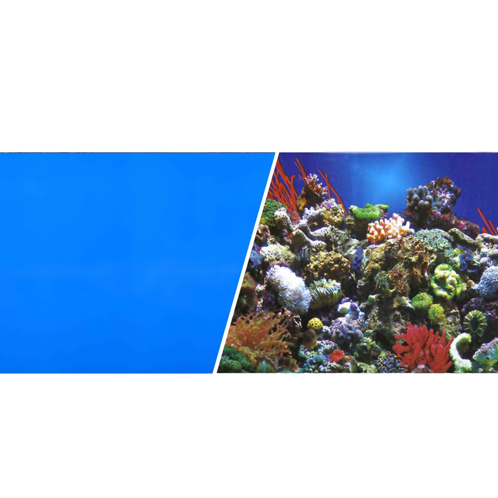 Marina\u00ae Reversible Reef \u0026 Blue Aquarium Background  fish Backgrounds  PetSmart