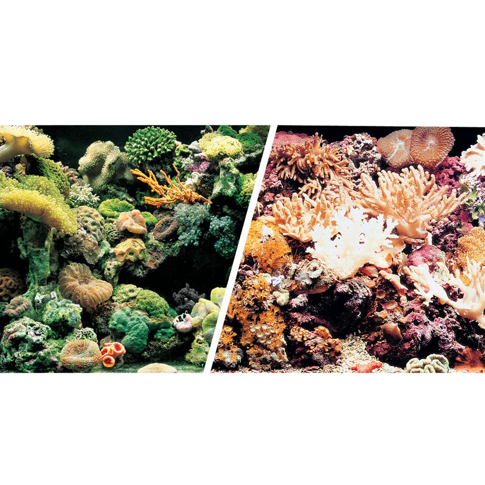 Marina\u00ae Reversible Marine Reef \u0026 Coral Aquarium Background  fish Backgrounds  PetSmart