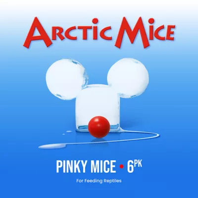 Product Arctic Mice Frozen Pinky Mice