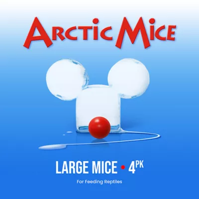 Product Arctic Mice Frozen Large Mice