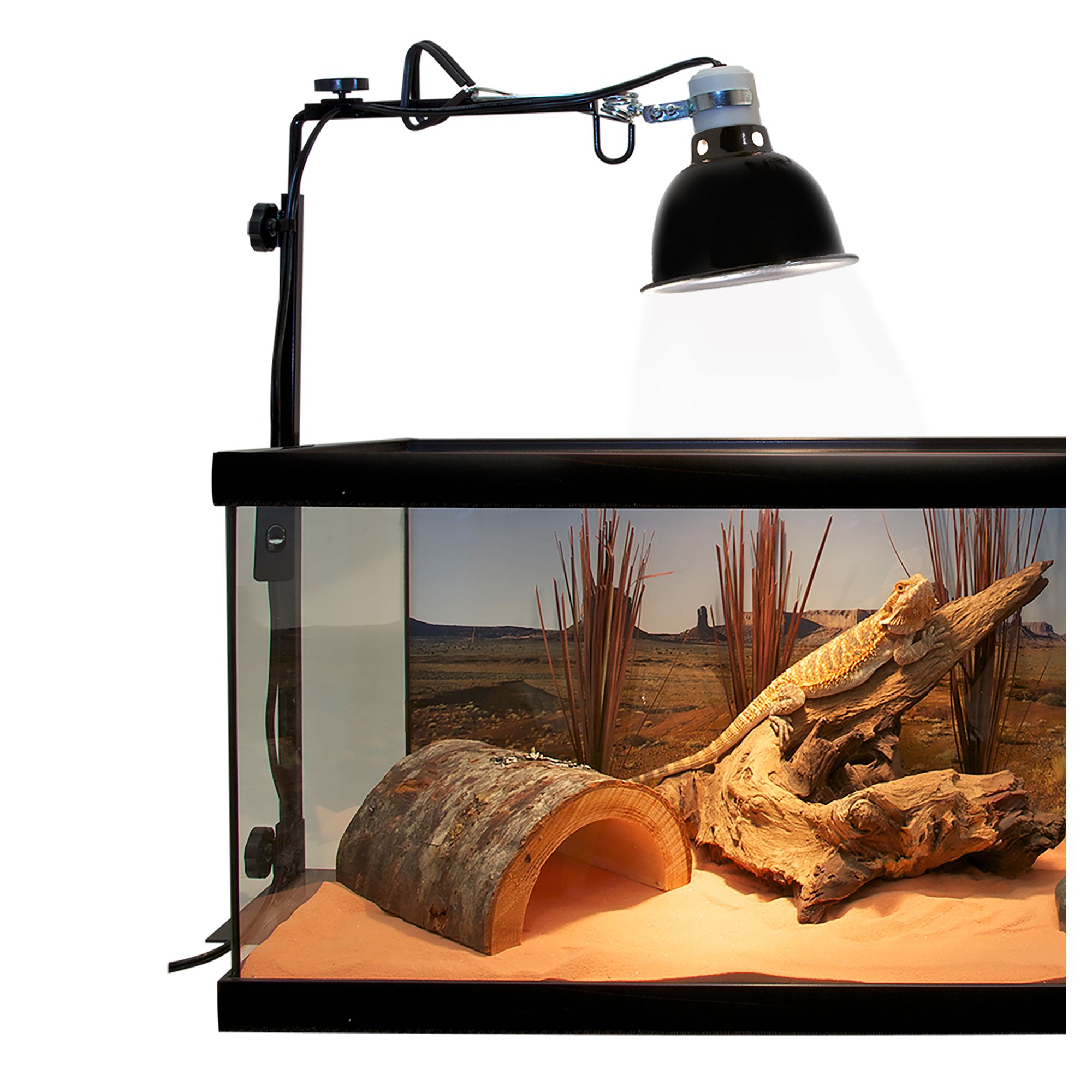Zoo Med Reptile Deluxe Porcelain Clamp Lamp Terrarium Clamp Light Fixture - 5.5 in - thumbnail 6